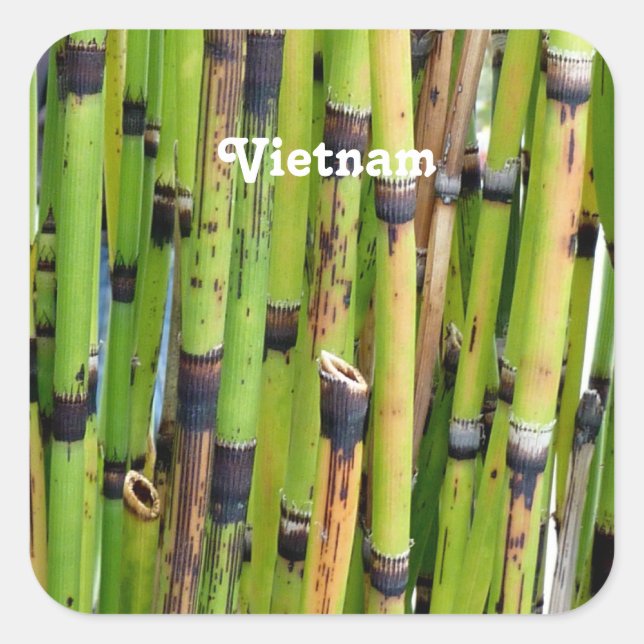 Vietnam Bamboo Square Sticker (Front)
