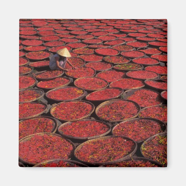 Vietnam. Candy drying in baskets under the Magnet (Front)