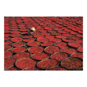 Vietnam. Candy drying in baskets under the Photo Print