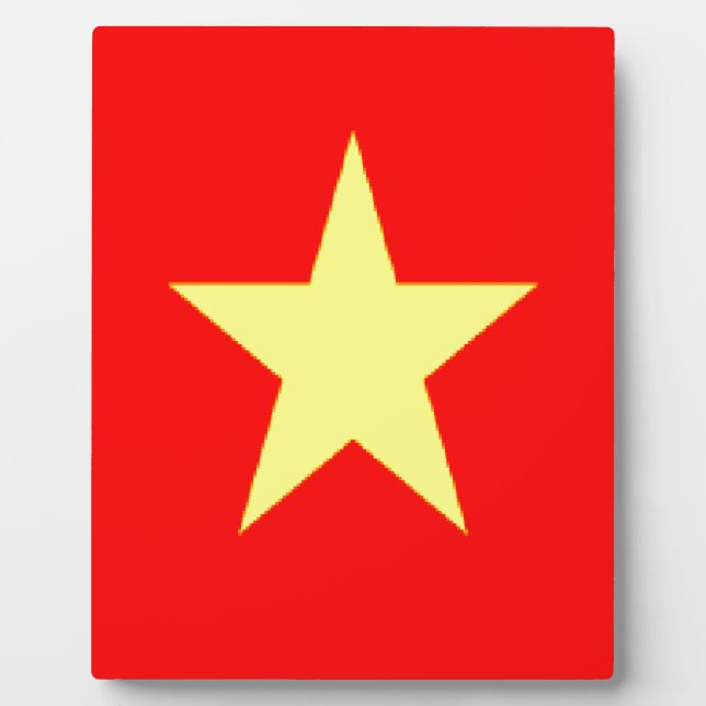 vietnam flag plaque (Front)