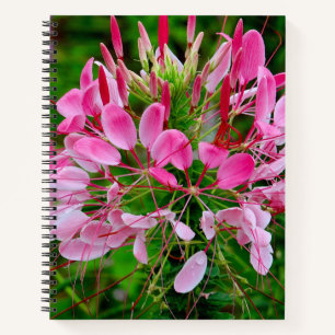 Vietnam - flower on Ha Giang plateau Notebook