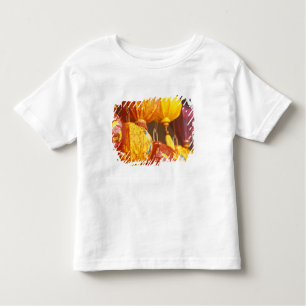 Vietnam, Hoi An Large lanterns, souvenirs Toddler T-Shirt