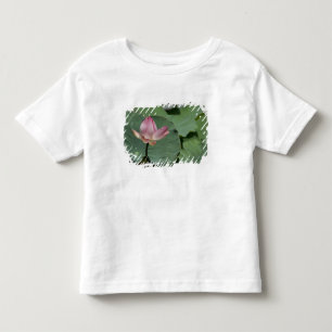 Vietnam, near Saigon) My Tho. Vinh Trang 2 Toddler T-Shirt