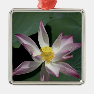 Vietnam, near Saigon) My Tho. Vinh Trang Metal Ornament