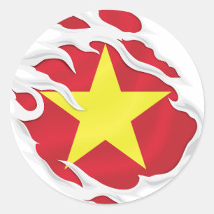 Vietnam Ripped Flag Classic Round Sticker