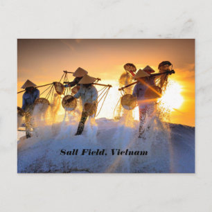 Vietnam Salt Field Postcard