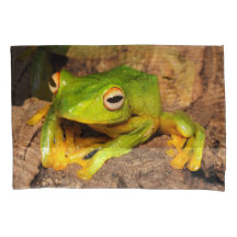 Vietnamese Black-Webbed Gliding Frog