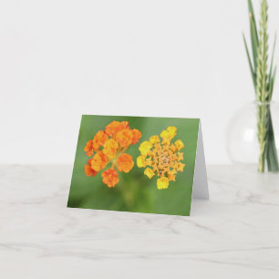 Vietnamese Lantana All Occasion Notecard