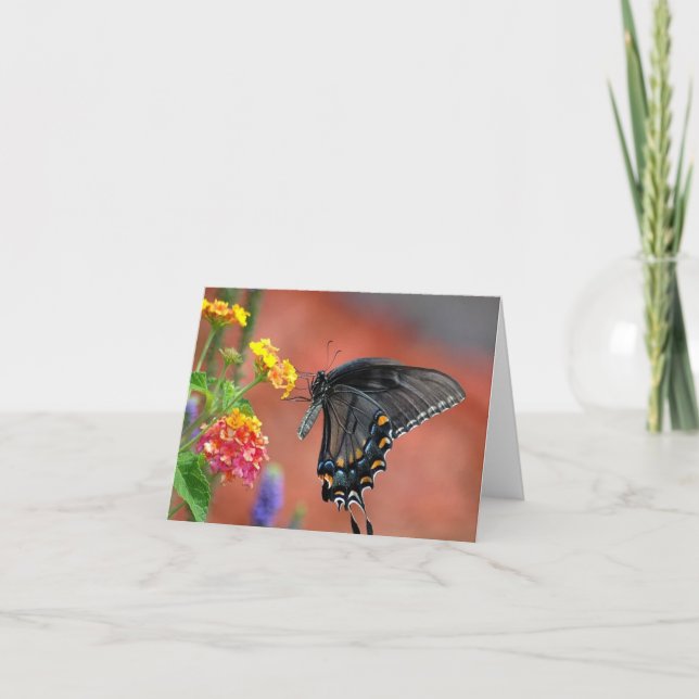 Vietnamese Lantana All Occasion Notecard (Front)