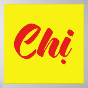 Vietnamese Sister - Chị ~ Tiếng Việt Languag Poster