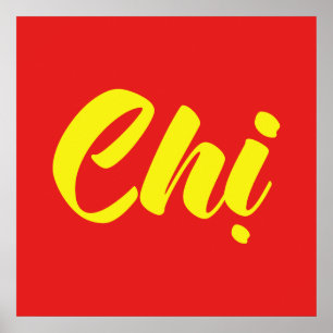 Vietnamese Sister - Chị ~ Tiếng Việt Language Poster