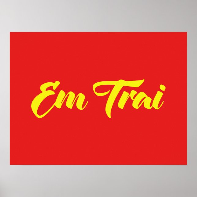 Vietnamese (Young) Brother - Em Trai ~ Tiếng Việt Poster (Front)