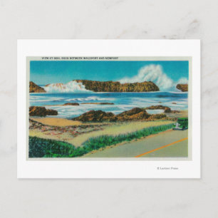 View at Seal Rock between Waldport and Newport Postcard