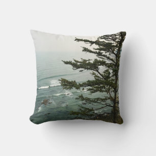 View at Simpson Reef Overlook, Oregon Coast Cushion