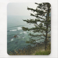 View at Simpson Reef Overlook, Oregon Coast