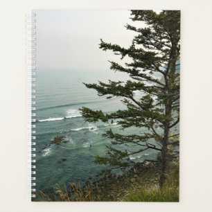 View at Simpson Reef Overlook, Oregon Coast Planner