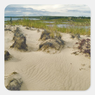 View from a sandy hilltop of lakes and hills on square sticker