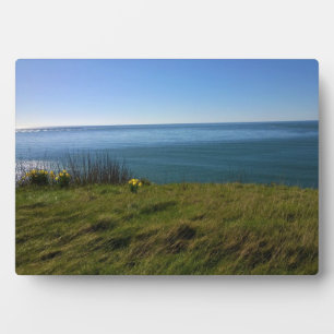 View from Cape Disappointment Lighthouse, WA Plaque
