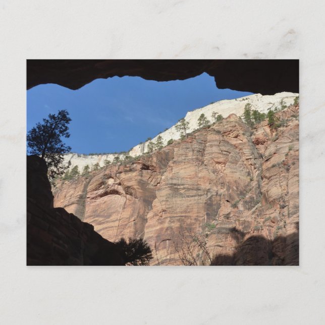 View from Devil's Staircase at Zion National Park Postcard (Front)
