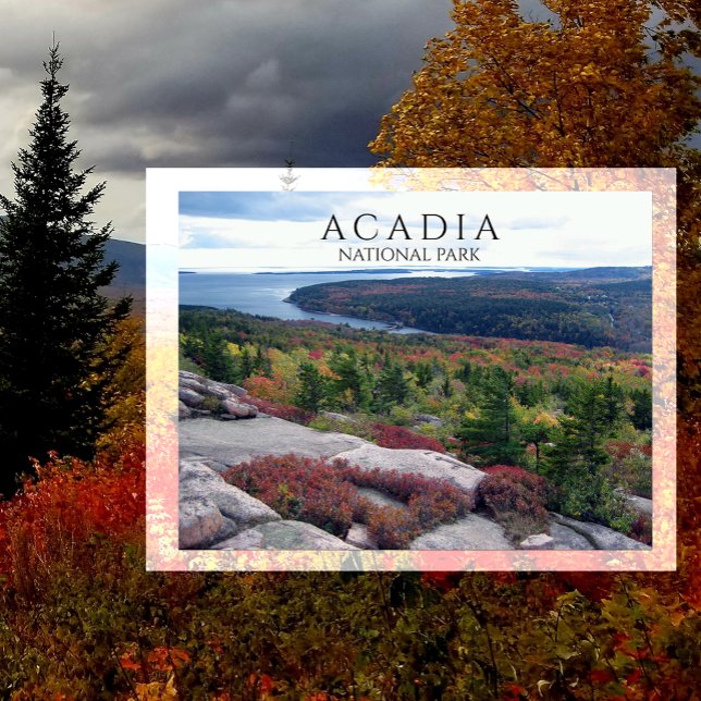 View from Gorham Mountain Acadia National Park, ME Postcard (Creator Uploaded)