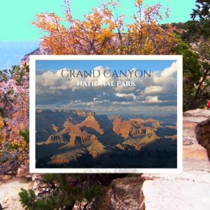 View from Grandview Point, Grand Canyon NP Postcard