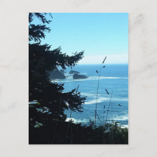 View from Hart's Cove, Oregon Coast Postcard