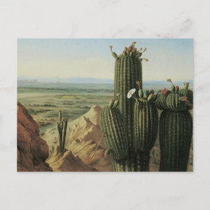 View from Maricopa Mountain Near Rio Gila by Pratt Postcard
