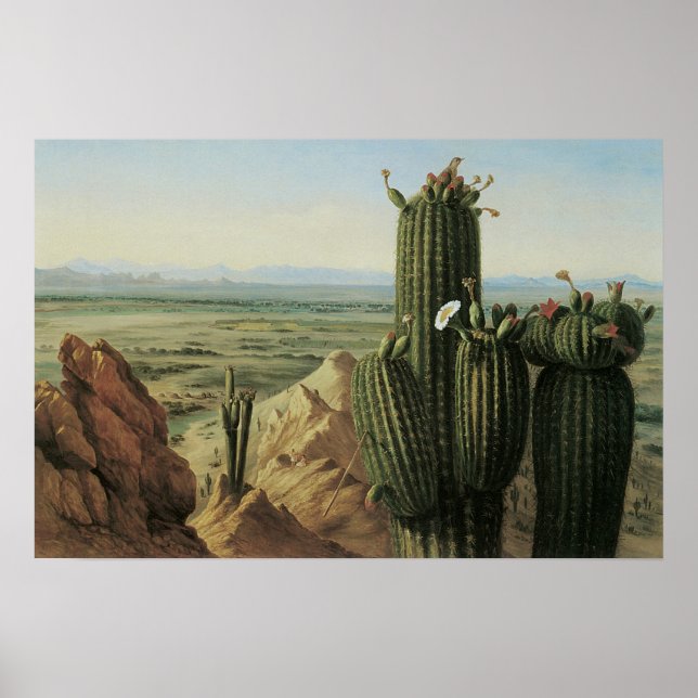 View from Maricopa Mountain Near Rio Gila by Pratt Poster (Front)