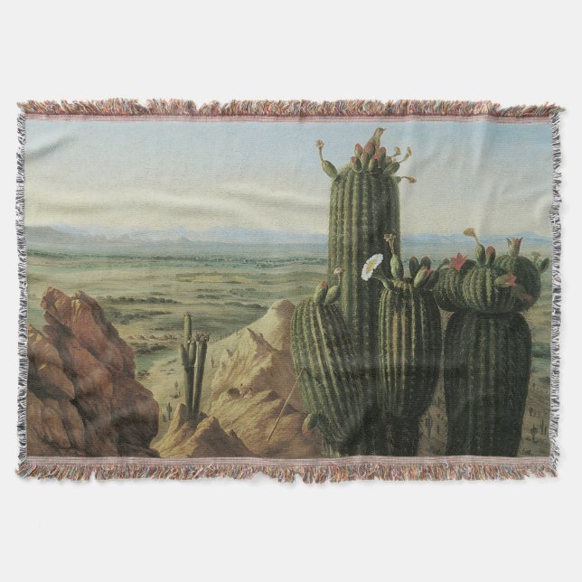 View from Maricopa Mountain Near Rio Gila by Pratt Throw Blanket (Front)