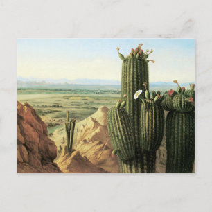 View from Maricopa Mountain Near the River Gila Postcard