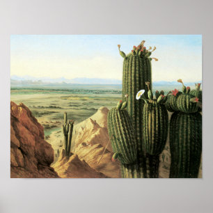 View from Maricopa Mountain near the River Gila Poster
