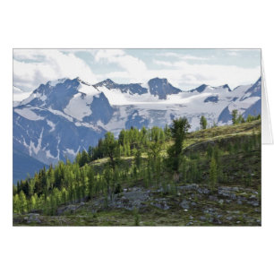 View from Monica Meadows, BC, Canada Card
