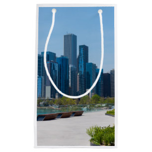View From Navy Pier Small Gift Bag