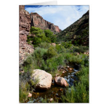 View from North Kaibab Trail