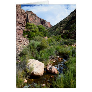 View from North Kaibab Trail