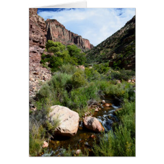 View from North Kaibab Trail