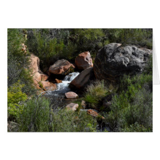 View from North Kaibab Trail, Grand Canyon