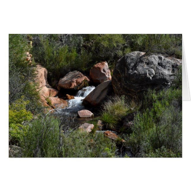 View from North Kaibab Trail, Grand Canyon (Front Horizontal)