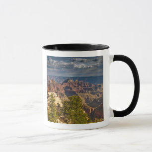 View from North Rim Visitor Centre - Grand Mug