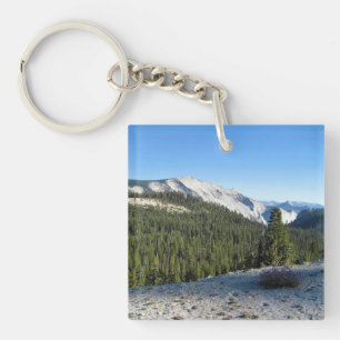 View from Olmstead Point, Yosemite, CA Key Ring
