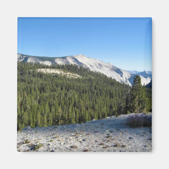 View from Olmstead Point, Yosemite, CA Magnet (Front)