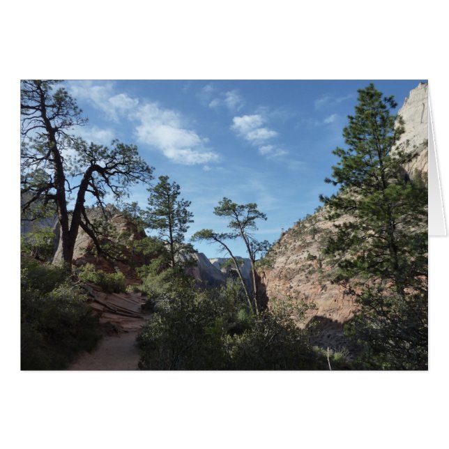 View from Scout Lookout at Zion National Park (Front Horizontal)