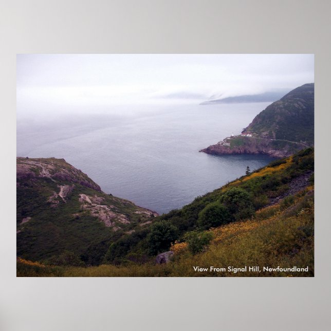 View From Signal Hill 1 Poster (Front)