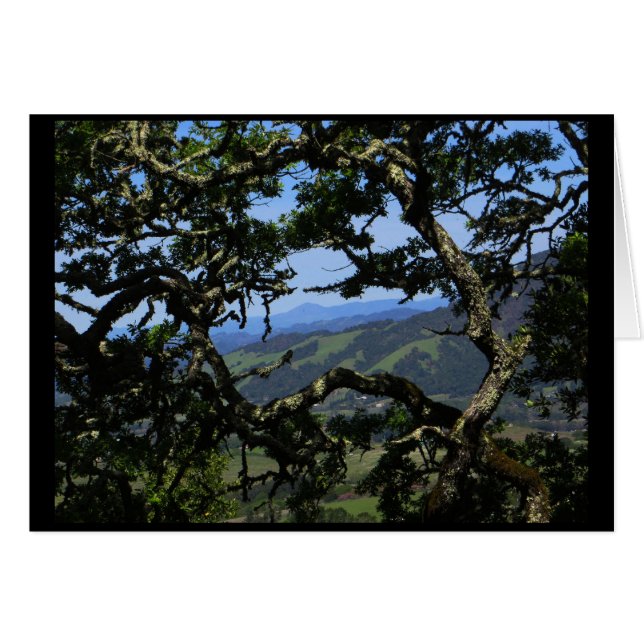 View from Sonoma Mountain (Front Horizontal)