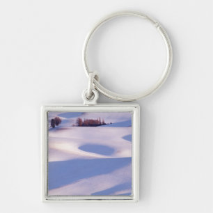 View from Steptoe Butte of rolling hills covered 2 Key Ring