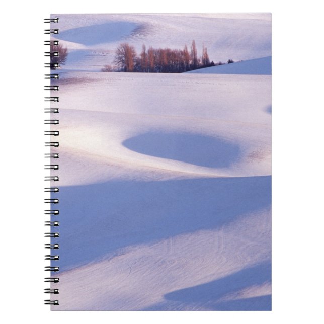 View from Steptoe Butte of rolling hills covered 2 Notebook (Front)