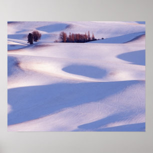 View from Steptoe Butte of rolling hills covered 2 Poster