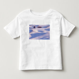 View from Steptoe Butte of rolling hills covered 2 Toddler T-Shirt