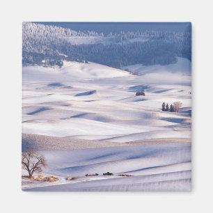 View from Steptoe Butte of rolling hills covered Magnet
