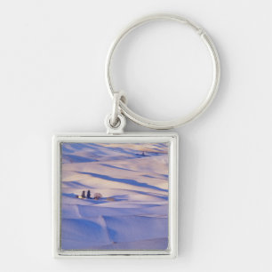View from Steptoe Butte of rolling hills Key Ring